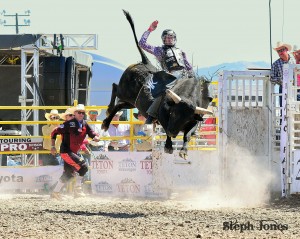 PBR-Bull logo